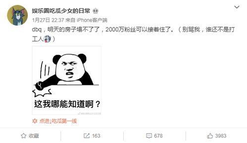 吃瓜娱乐圈八卦范丞丞,揭秘明星背后的故事