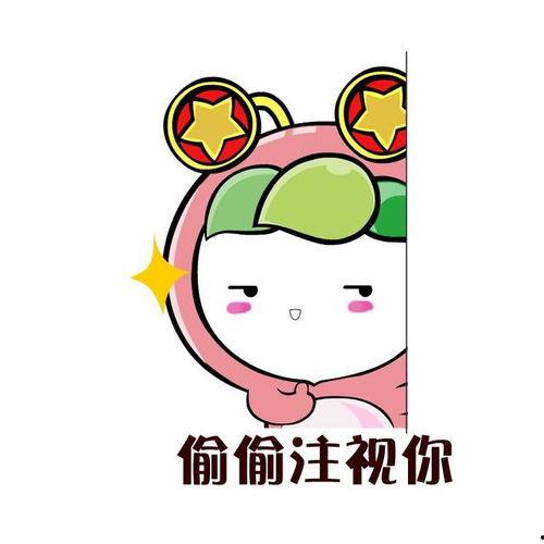 娱乐吃瓜喵不务正业版,揭秘明星不务正业背后的秘密