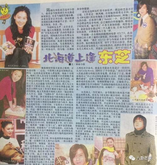 娱乐圈的吃瓜小说