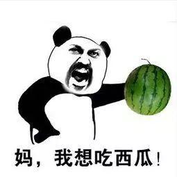 吃瓜时刻,吃瓜时刻背后的真相与八卦