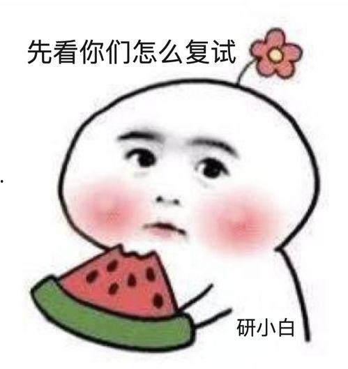 娱乐吃瓜酱受委屈小说,委屈背后的甜蜜瓜田