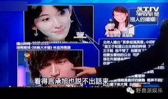 娱乐吃瓜蜀黍广告视频大全,广告视频大全精彩回顾