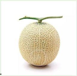 吃瓜群众图片真人头像,揭秘吃瓜群众的真实面容