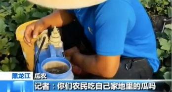 娱乐吃瓜直播怎样加入,揭秘娱乐吃瓜直播的加入之道